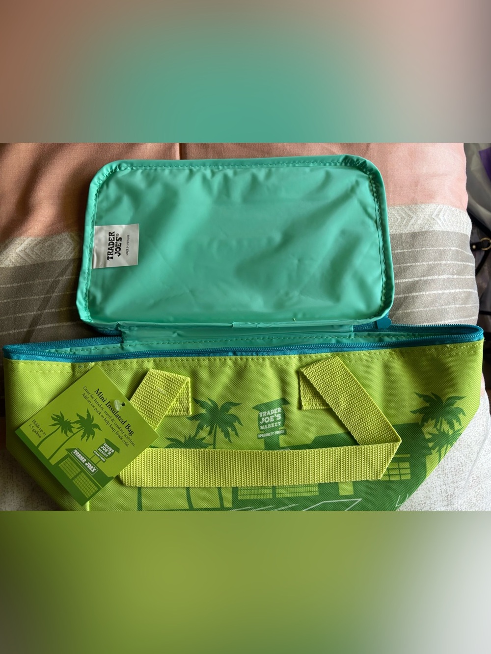 Trader Joe's Green & Aqua Insulated Cooler Tote
